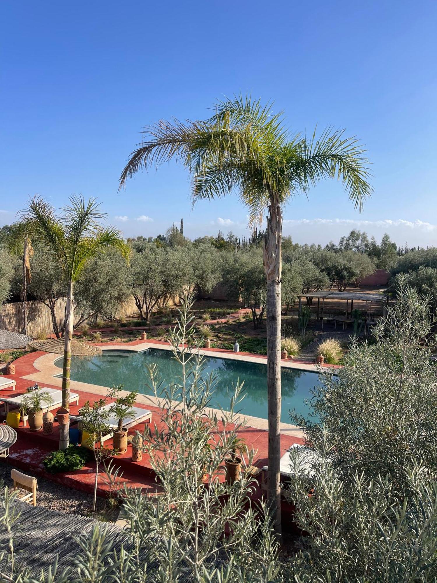 Villa Chez Marie Marrakesh Exteriör bild